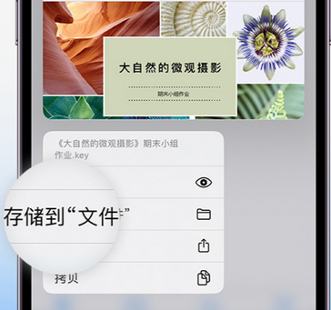 库车apple维修中心分享iPhone文件应用中存储和找到下载文件