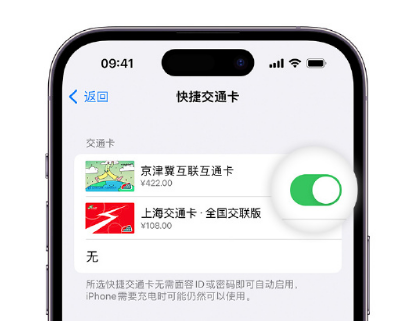 库车apple维修点分享iPhone上更换Apple Pay快捷交通卡手绘卡面 