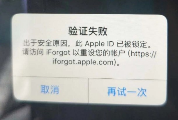 库车iPhone维修分享iPhone上正常登录或使用AppleID怎么办 