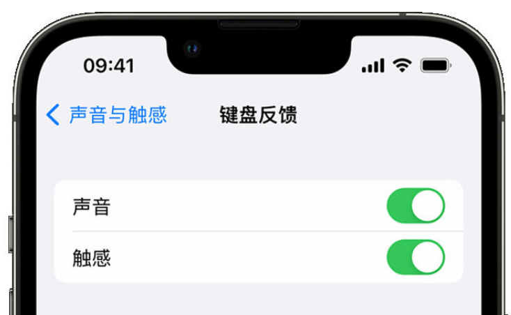 库车苹果手机维修分享iPhone 14触感键盘使用方法 