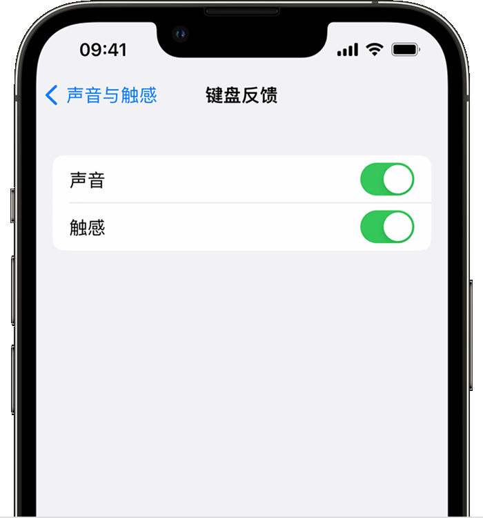 库车苹果14维修店分享如何在 iPhone 14 机型中使用触感键盘 