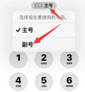 库车苹果14维修店分享iPhone 14 Pro Max使用副卡打电话的方法 