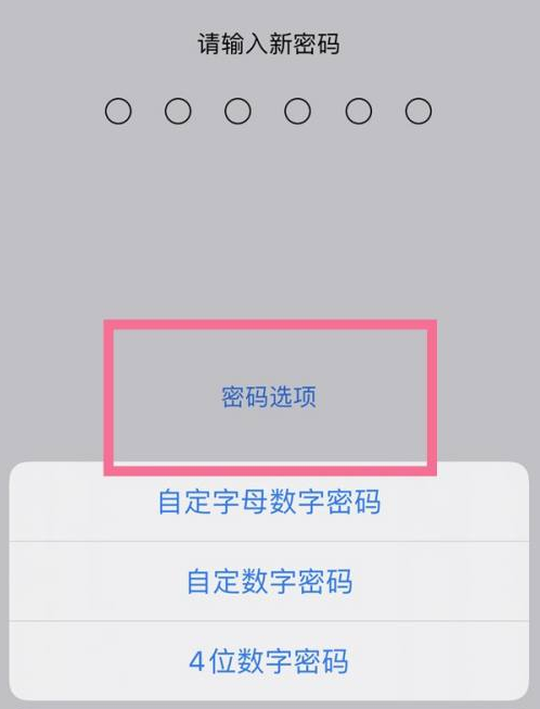 库车苹果14维修分享iPhone 14plus设置密码的方法 