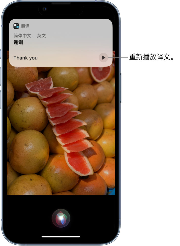 库车苹果14维修分享 iPhone 14 机型中使用 Siri：了解 Siri 能帮你做什么 