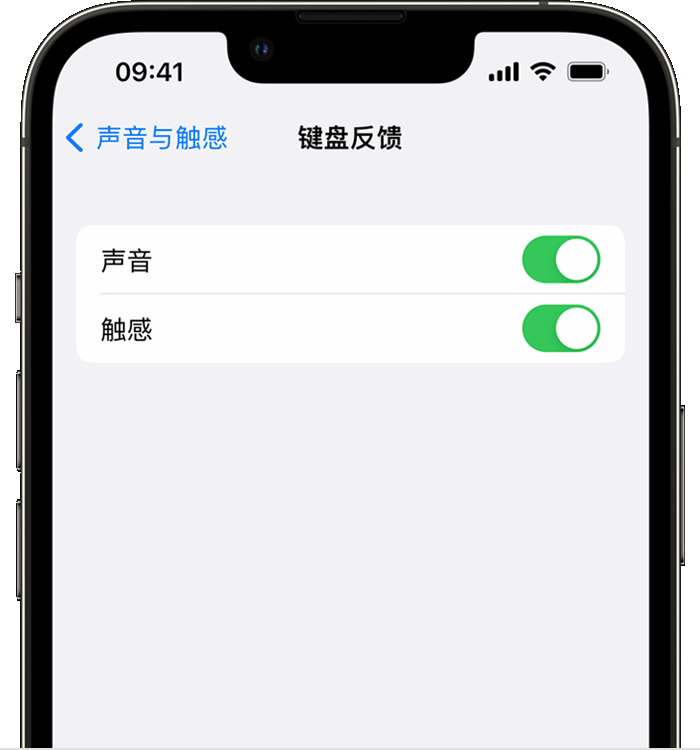 库车苹果14维修分享iPhone 14 系列机型如何开启键盘声音或触感反馈 