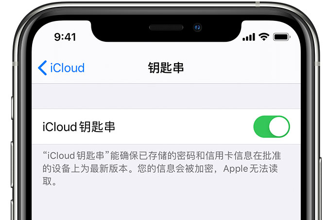 库车苹果手机维修分享在 iPhone 上开启 iCloud 钥匙串之后会储存哪些信息 