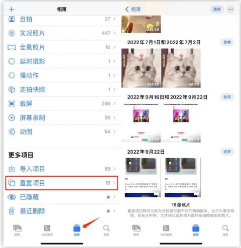 库车苹果手机维修分享iOS 16 中相册重复项目功能使用方法 