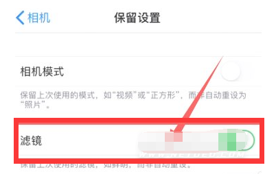 库车苹果13维修分享iPhone13拍照有绿点是怎么回事 