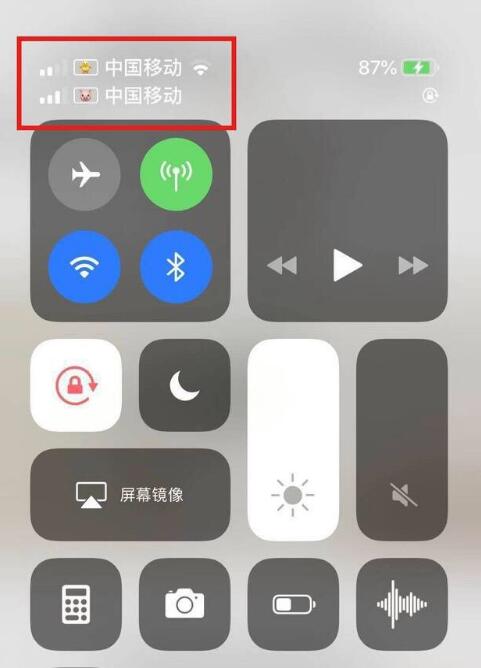 库车苹果手机维修分享为 iPhone 12 双卡设置标签 